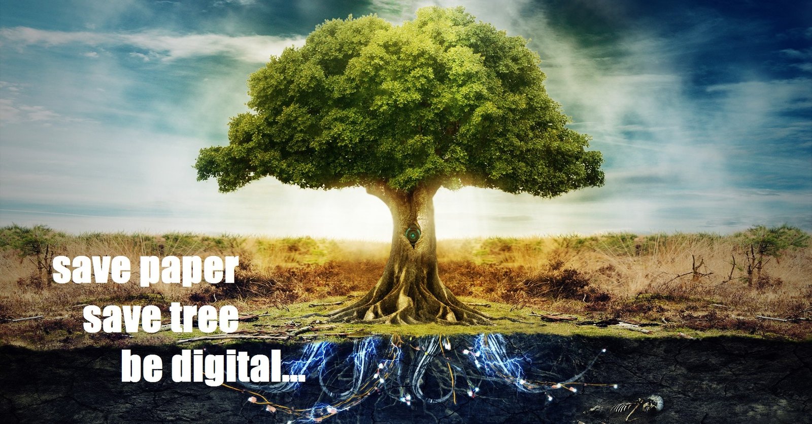 How going digital helps save paper, trees and the environment